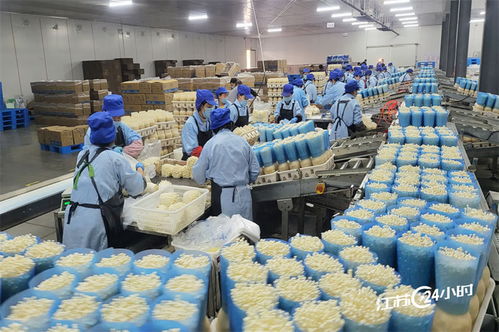 工廠化種植食用菌 規?；c日用雜品市場的融合新機遇